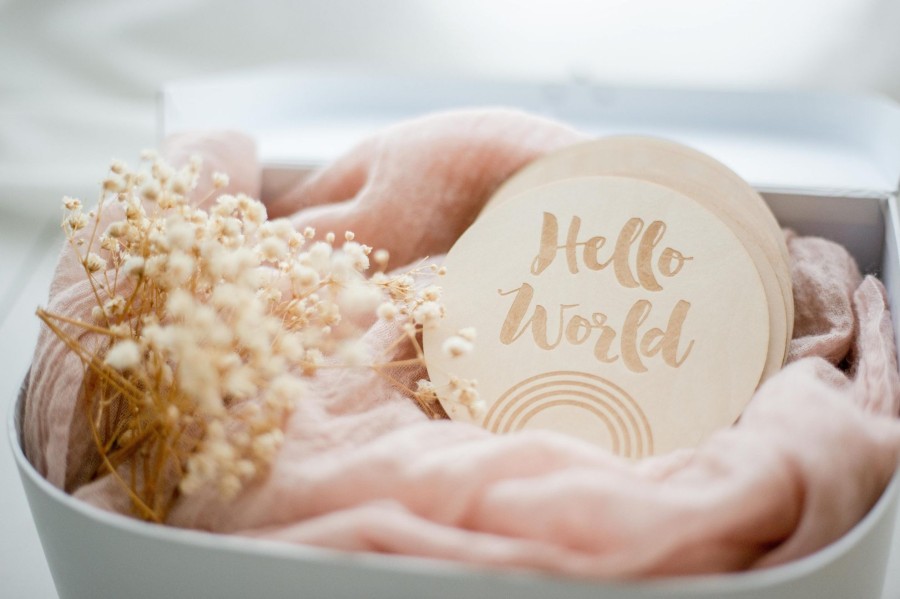 Birth Announcements Plaques & Milestone Disc Zebra Babies | Milestone Discs Rainbow Hello World To 1 Year Old