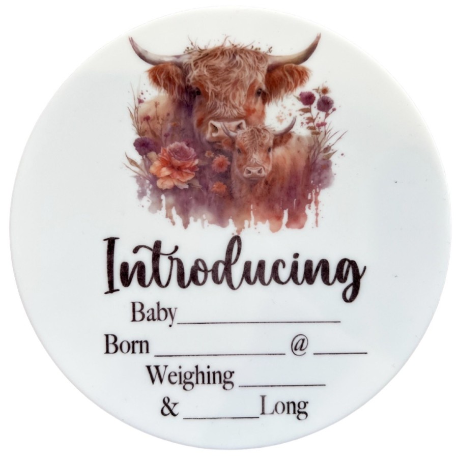 Birth Announcements Plaques & Milestone Disc Zebra Babies | Birth Announcement Plaque Highland Cow