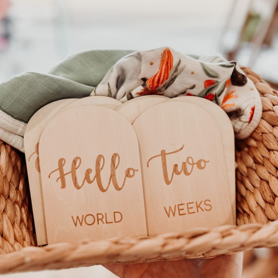 Birth Announcements Plaques & Milestone Disc Zebra Babies | Milestone Discs Arch Hello World To 1 Year Old